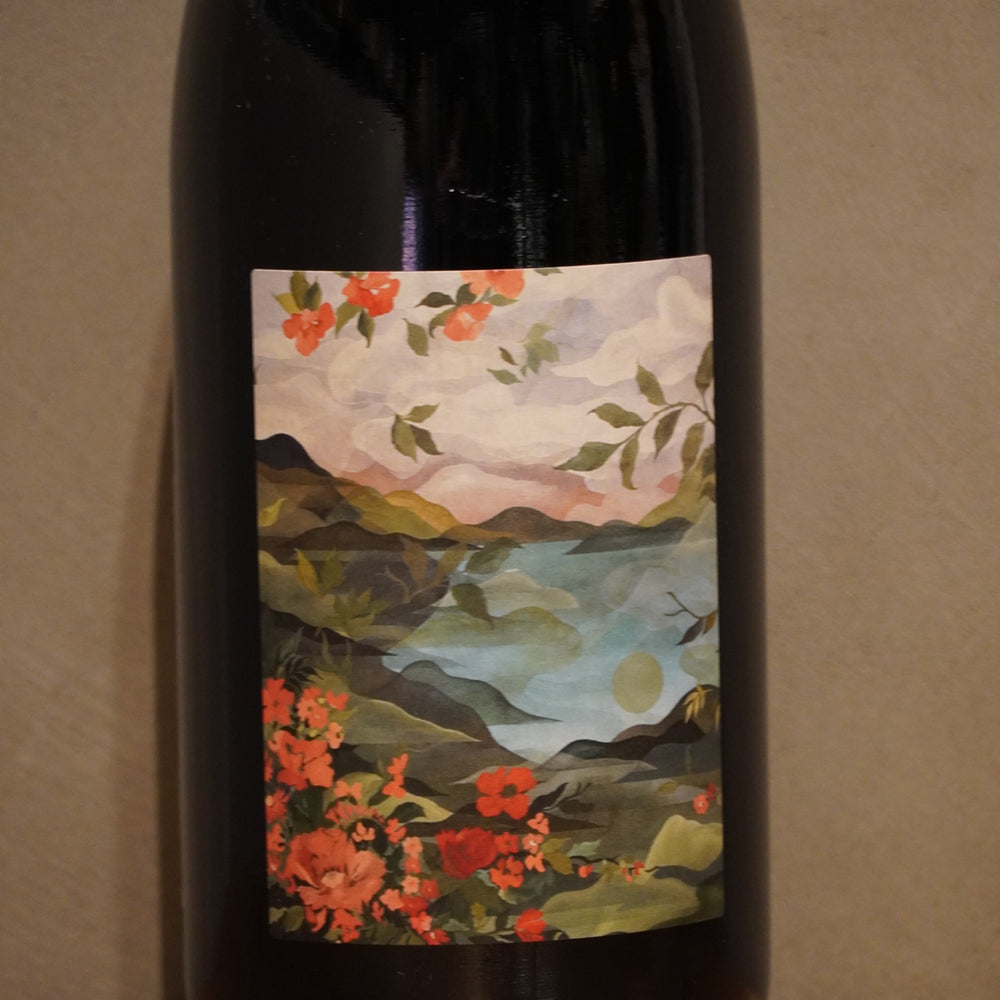 CHÂTEAU LESTIGNAC シャトー・レスティニャック / Pagaille, Vin de France パガイユ