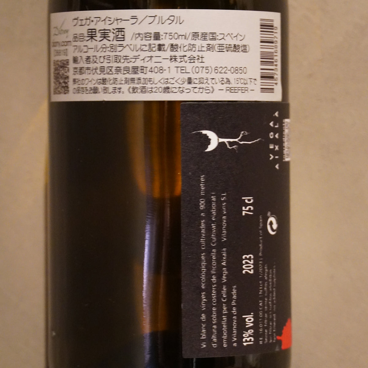Vega Aixalà ヴェガ・アイシャーラ / BRUTAL 2023 ブルタル